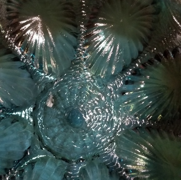 Vintage Indiana Glass Pebble Leaf Blue Platter - Picture 4 of 7